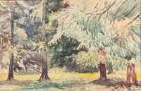 Untitled (Manitoba Forest Scene)