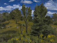 Trees Against the Sky