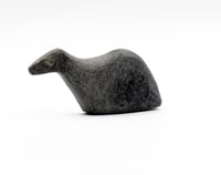 Small Animal