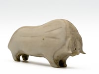 Muskox
