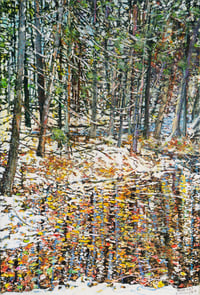 Early October Snowfall