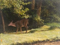 Edge of the Woods