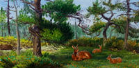Mid-Day Rest - Whitetail Doe and Fawns