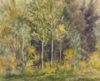Lake Foliage
