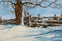 Untitled (Fresh Snow)
