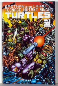 Teenage Mutant Ninja Turtles #7