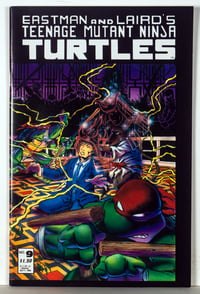 Teenage Mutant NinjaTurtles #9