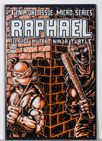 Raphael: Teenage Mutant Ninja Turtles #1