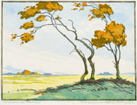 Windswept Prairie