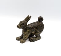 Hare