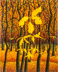 Oak Trees
