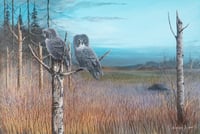 Untitled (Great Grey Owls)