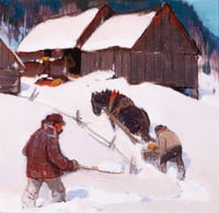 The Day After the Storm