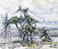 Twisted Pines, Grace Lake, LaCloche