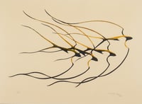 Untitled (Four Swallows in Flight)
