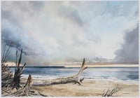 Untitled (River Bank)