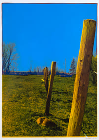 Untitled (Fence Posts)