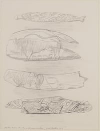 Untitled (For the Brown Family, with appreciation)