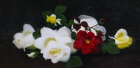 Still Life of Roses