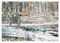 Fall on the Crowsnest