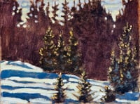 Winter Trees, Bragg Creek