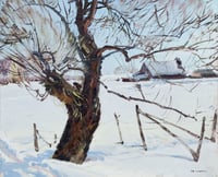 Old Tree in Snow, Canada