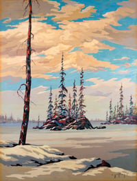 Northern Snow