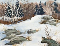Late March Day (Whiteshell)