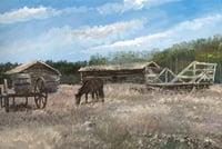 Farmyard at Stony Reserve