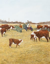 Cattle Grazing