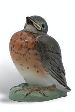 Robin