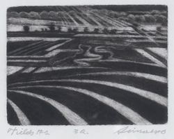 Fields