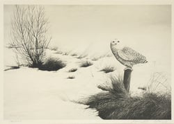 Snowy