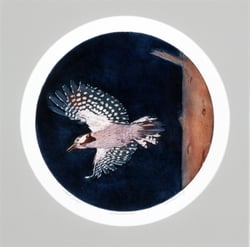 Woodpecker
