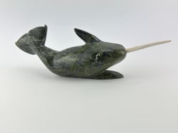 Narwhal