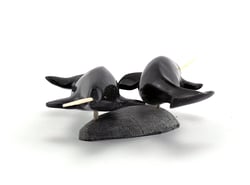 Narwhal