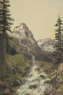 Stream