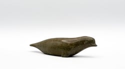 Beluga
