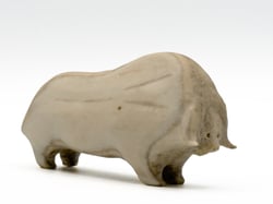 Muskox