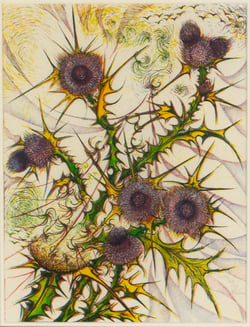 Thistle