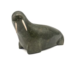 Walrus