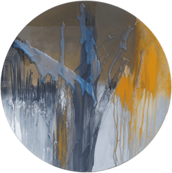 Disc