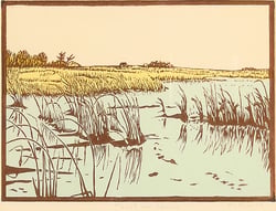 Marsh