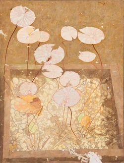 Lily