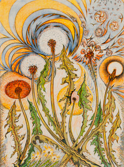 Dandelions