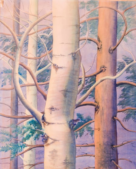 Lake Front Poplars