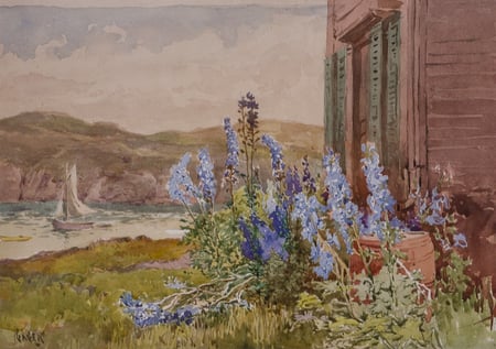 Hollyhocks along the coast