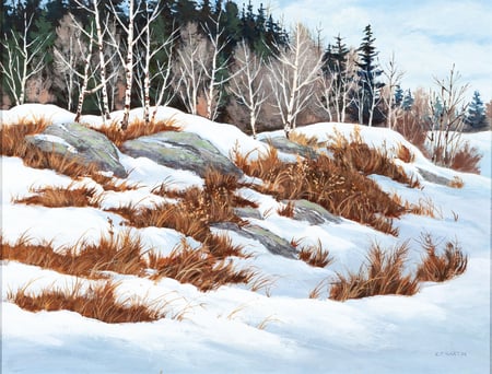 Winter Day