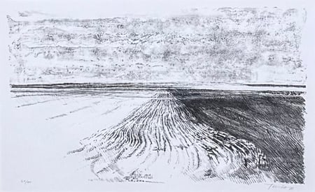 Plowed Field