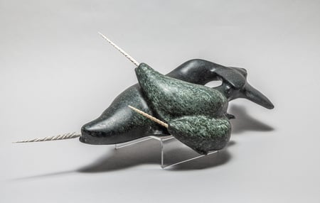 Narwhal Pod
